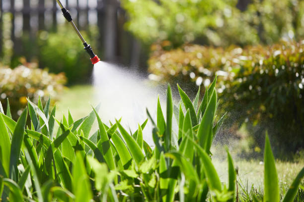 Tamper-Resistant Bait Stations for Rodents in Lake Waynoka