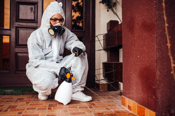 Attic and Crawl Space Rodent Treatment in Lake Waynoka