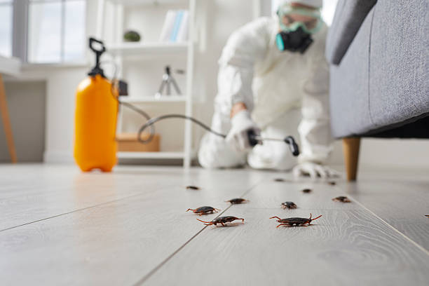 Commercial Rodent Management in Lake Waynoka